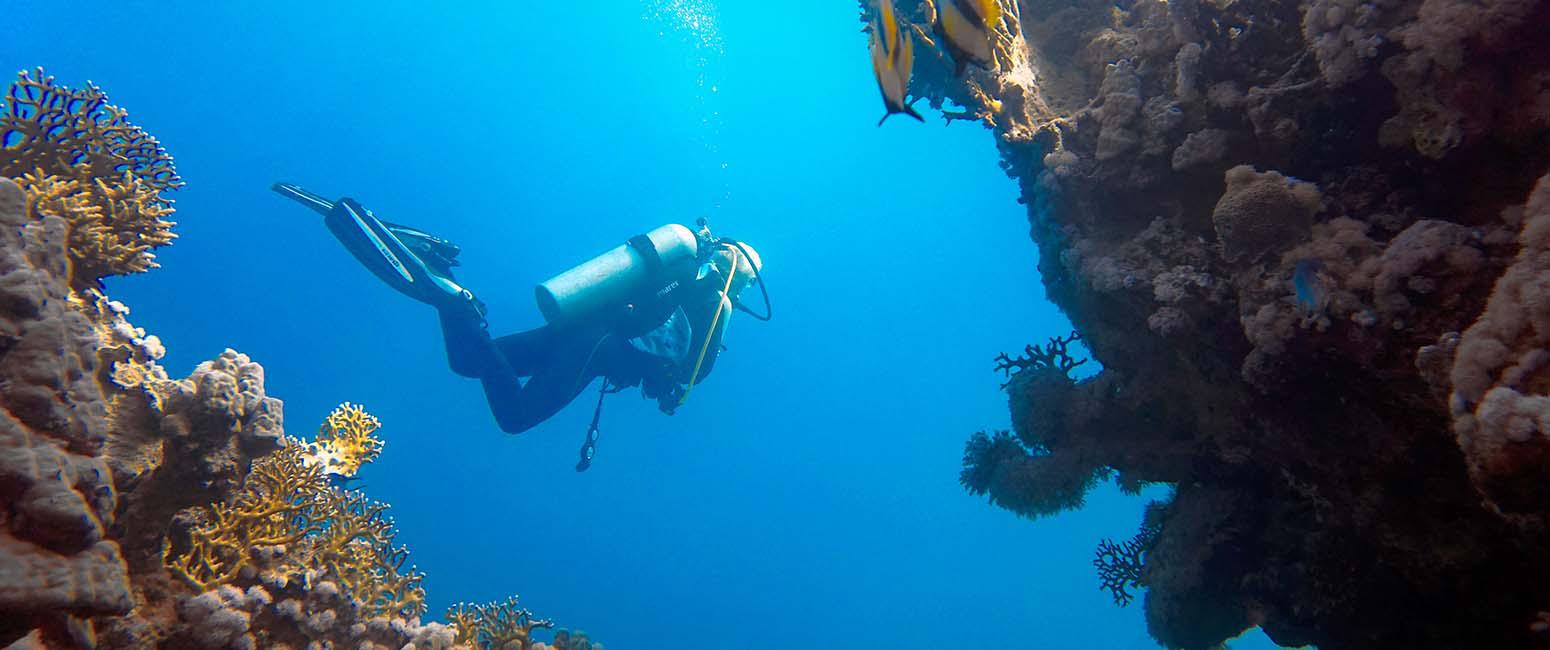 3 sters Dive Master